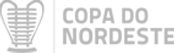 Copa do Nordeste Logo